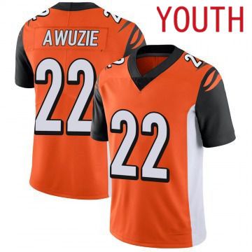 Youth Cincinnati Bengals #22 Chidobe Awuzie Orange Nike Limited Player NFL Jersey